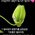 '인사합니다~^^' 글에 포함된 이미지