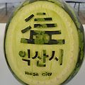 '출석합니다 ^./~' 글에 포함된 이미지
