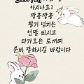 '출석합니다' 글에 포함된 이미지