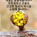 '봄바람 불어 걷기좋은' 글에 포함된 이미지
