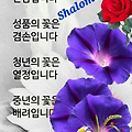 '일교차가 많이 나는 ' 글에 포함된 이미지