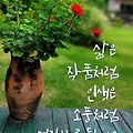 '출석요' 글에 포함된 이미지