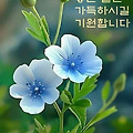 '.' 글에 포함된 이미지