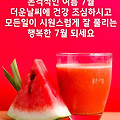 '출석합니다' 글에 포함된 이미지