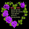 '🍁짙어져 가는 가을' 글에 포함된 이미지