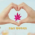 'ㆍ' 글에 포함된 이미지