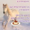 '출석합니다' 글에 포함된 이미지