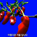 '.' 글에 포함된 이미지