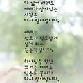 '출석합니다' 글에 포함된 이미지
