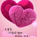 '햇살이 너무나도 아름' 글에 포함된 이미지