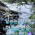 '8월 한달내내기쁜 일' 글에 포함된 이미지