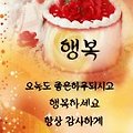 '화요일 화사한 꽃처럼' 글에 포함된 이미지