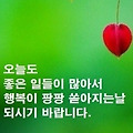 '.' 글에 포함된 이미지