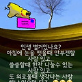 '출석합니다' 글에 포함된 이미지