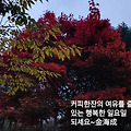'.' 글에 포함된 이미지