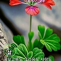 '출석합니다' 글에 포함된 이미지