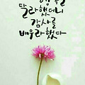 '즐거운 주말되세요.' 글에 포함된 이미지