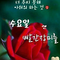 '★12월 13일 기분좋은' 글에 포함된 이미지