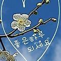 '^' 글에 포함된 이미지