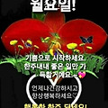 '출석합니다' 글에 포함된 이미지