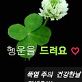 '.' 글에 포함된 이미지