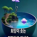 '칠월초이틀 주간인사' 글에 포함된 이미지