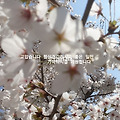 '출석 합니다 즐거운 ' 글에 포함된 이미지