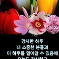 '처서사 기나니 기온이' 글에 포함된 이미지