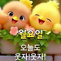 'ㆍ' 글에 포함된 이미지