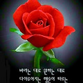 '^' 글에 포함된 이미지