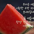 '출석요' 글에 포함된 이미지