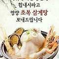 '초북날삼계탕드시고여' 글에 포함된 이미지
