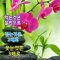 '10월의 마지막 월요일' 글에 포함된 이미지