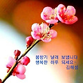 '~' 글에 포함된 이미지