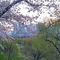 '행복하세요♡티벳버섯' 글에 포함된 이미지