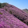 '고은님들 반갑습니다.' 글에 포함된 이미지