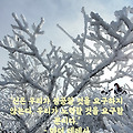 '오늘도 좋은 일만 가' 글에 포함된 이미지