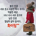 '부산 날씨도 바람이 ' 글에 포함된 이미지
