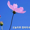 'ㆍ' 글에 포함된 이미지