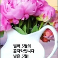 '.' 글에 포함된 이미지