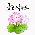 '편안한 밤 되세요~!' 글에 포함된 이미지
