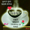 '요즘 웃을일 만들어 ' 글에 포함된 이미지