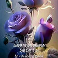'출석합니다' 글에 포함된 이미지
