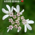 '출석 합니다~~!!^^행' 글에 포함된 이미지