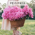 '출석합니다' 글에 포함된 이미지