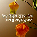 'ㆍ' 글에 포함된 이미지