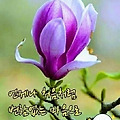 '.' 글에 포함된 이미지