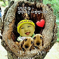 '하루의 계획은 아침 ' 글에 포함된 이미지