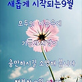 '.' 글에 포함된 이미지