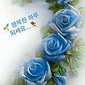 '5월의 끝자락 동안 수' 글에 포함된 이미지